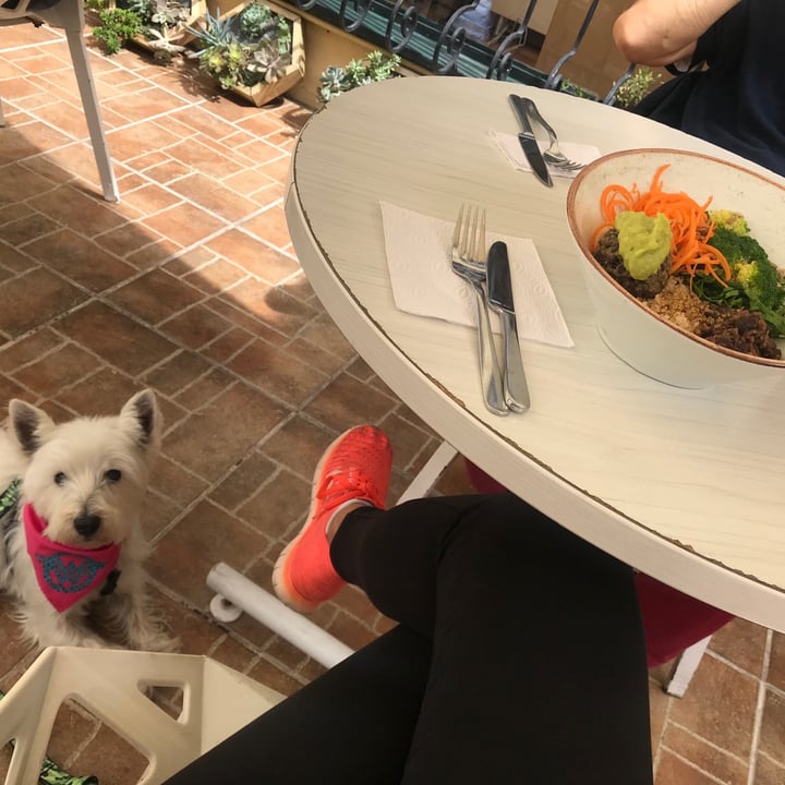 review photo of Restaurante Vegano Cardamomo Bowl shared by @silvanatellez29 on 17 May 2020 - review