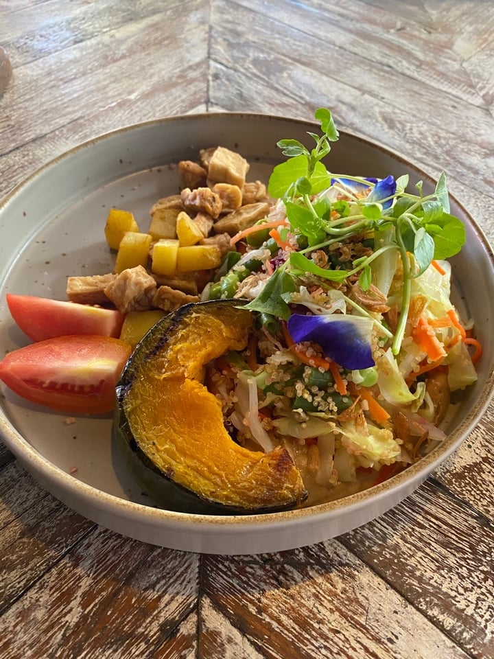 photo of Verdant Organic & True Food Kitchen Tofu Curry/pumpkin Salad And Aliolia Pasta shared by @munir on  16 Feb 2020 - review