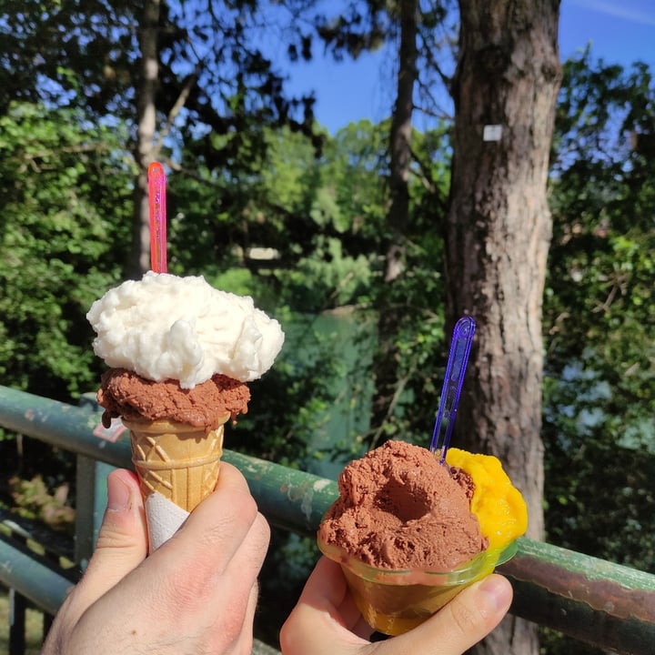 photo of Ratatouille Vegan Food Gelato shared by @tastyveg on  20 May 2021 - review