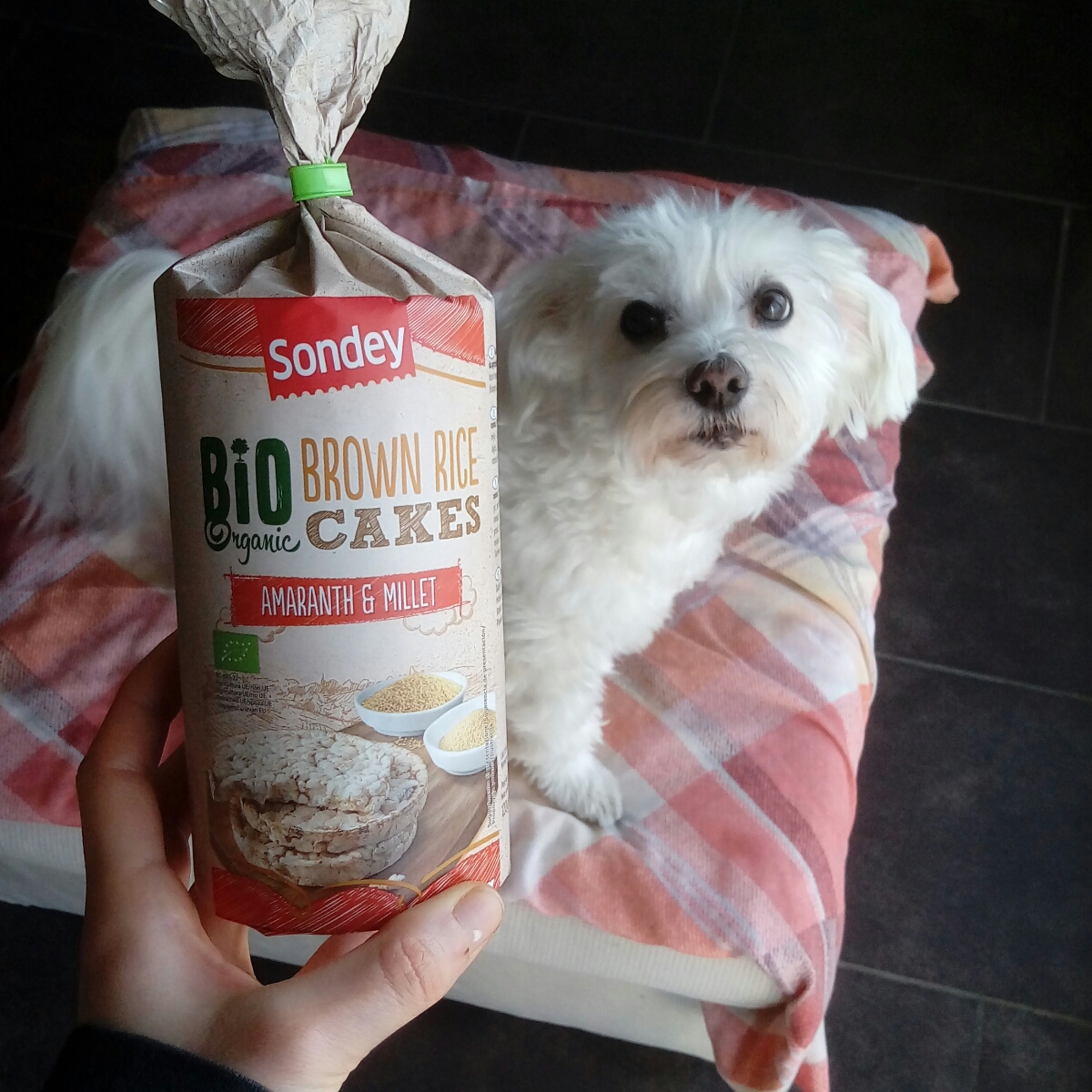 Sondey Brown rice cakes amaranth and millet Reviews abillion