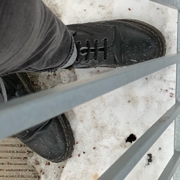 photo of Vegetarian shoes Boulder Boot Street Sole shared by @didko on  13 Feb 2021 - review