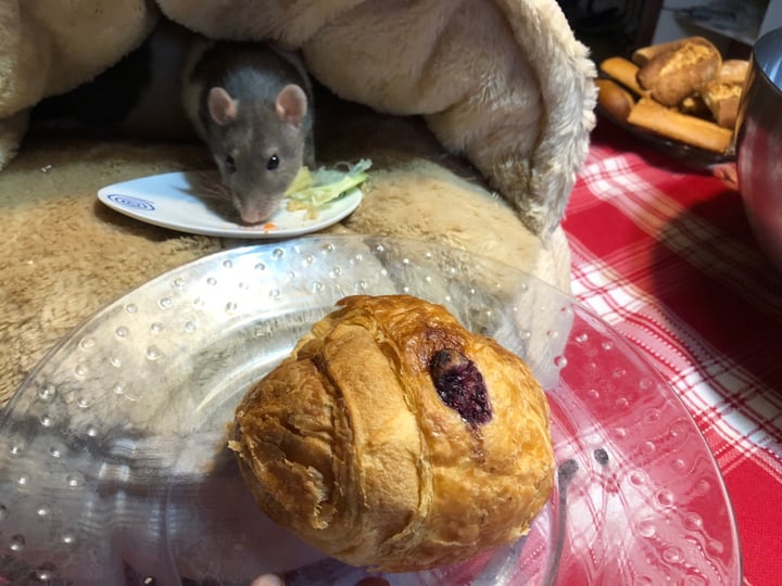 photo of CroisSants Croissant de arándanos shared by @anaiturrizar on  08 Dec 2019 - review