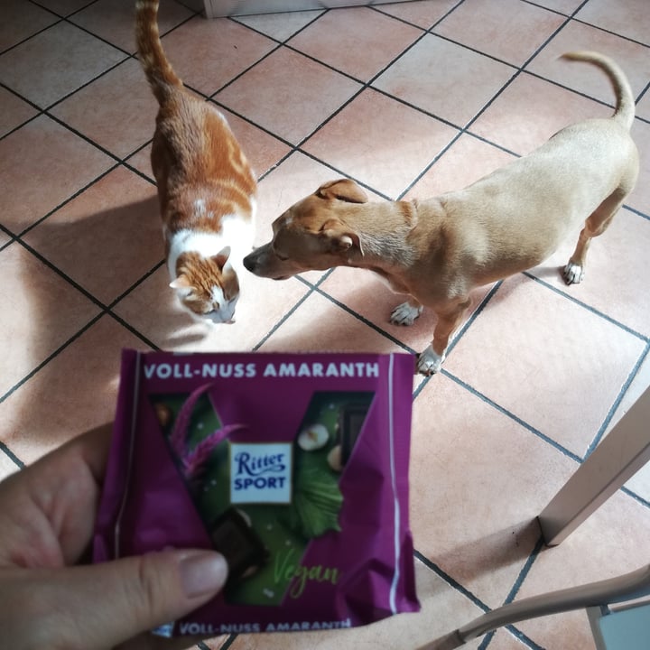photo of Ritter Sport Voll-Nuss Amaranth shared by @paolagalimberti on  06 Oct 2021 - review