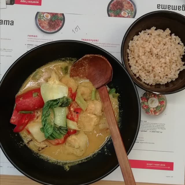 菜肴“Nikko curry yasay tofu”的照片