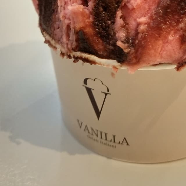 Photo du plat “Gelato Lampone e Cioccolato fondente”