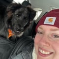 @gracec7 profile image