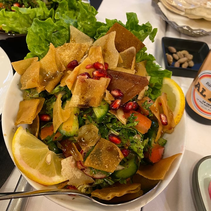 photo of Assanabel Fattoush salad and Falafels shared by @wfpbguy on  23 Apr 2022 - review