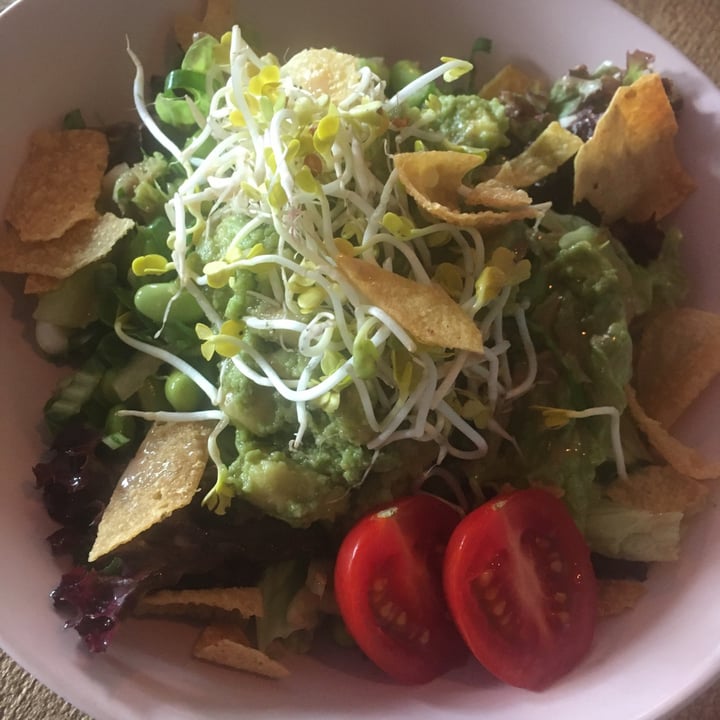photo of MANA Food Summer Salad shared by @projecthappynow on  15 Jul 2020 - review