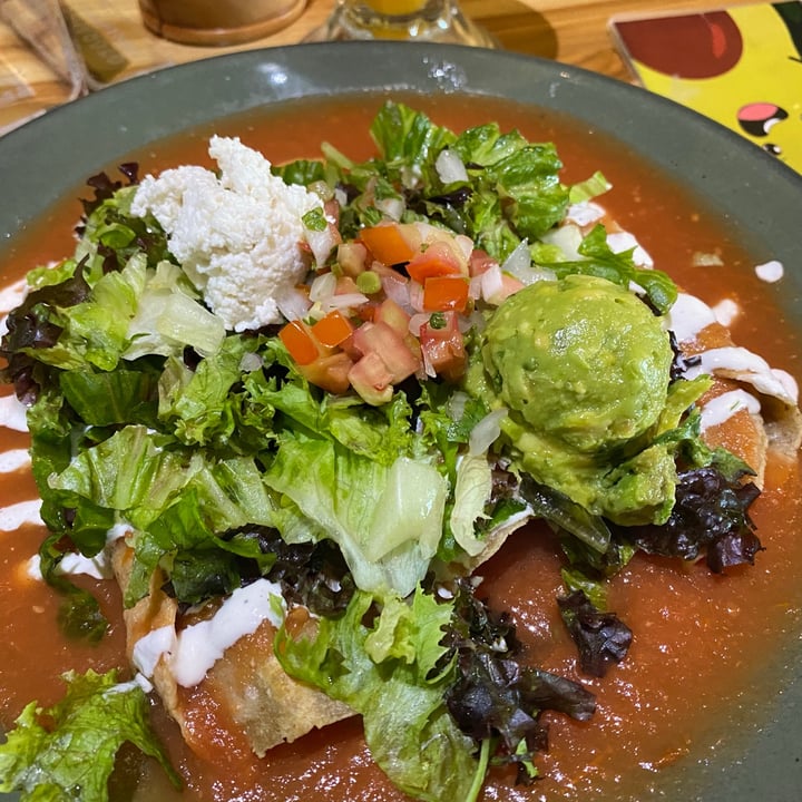 photo of Vegan Planet Entomatadas shared by @calci-fer on  17 May 2021 - review