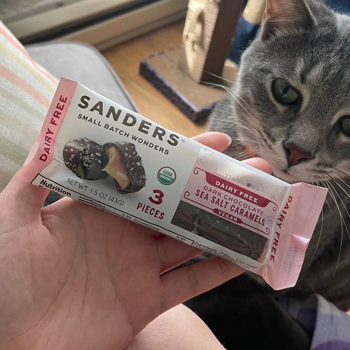 photo of Sanders Dairy Free/Vegan Dark Chocolate Sea Salt Caramels shared by @beepeachiee on  01 May 2021 - review