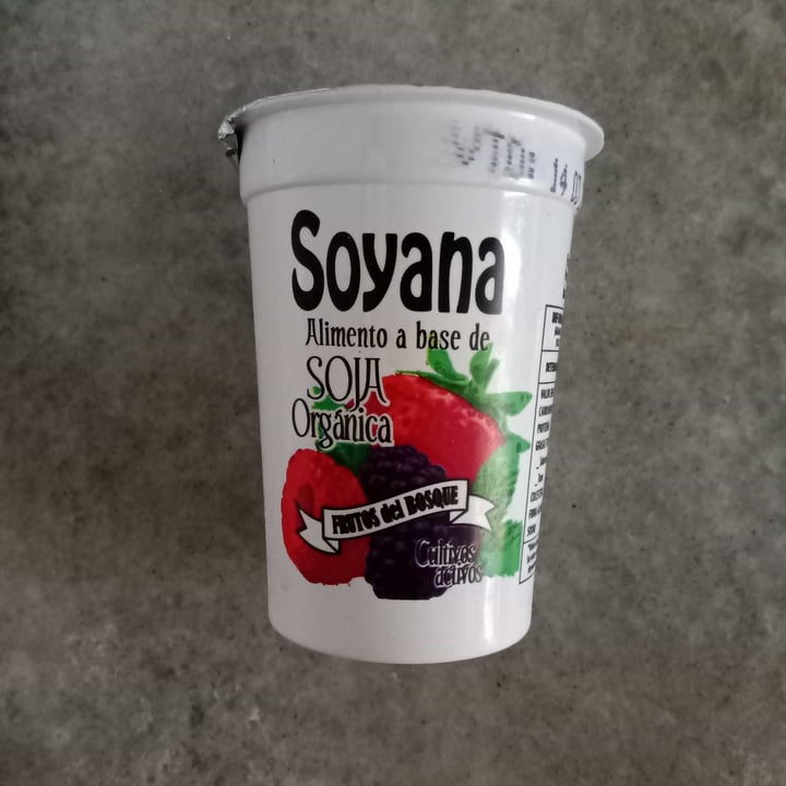 photo of Soyana Yogurt a Base de Soja sabor Frutos del Bosque shared by @anavegar on  08 Mar 2021 - review