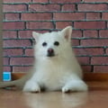 evetyf @evetyf profile image