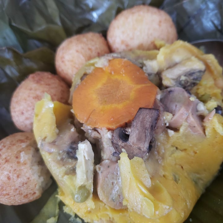 photo of De Nobles Tamal Vegano shared by @cabolivar on  23 Dec 2020 - review