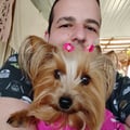 felipe3d @felipe3d profile image