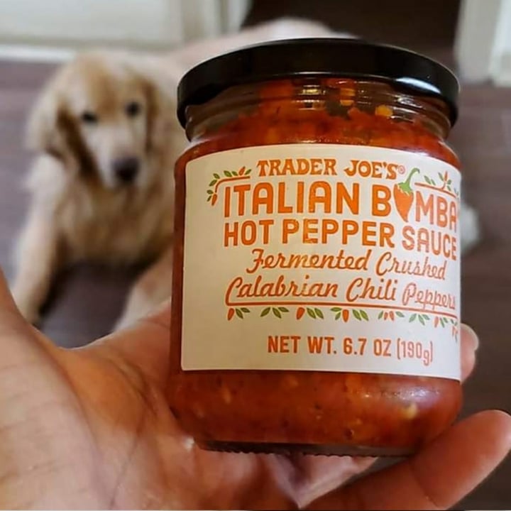 photo of Trader Joe's Italian bomba hot pepper sauce shared by @eriluc on  07 Nov 2020 - review