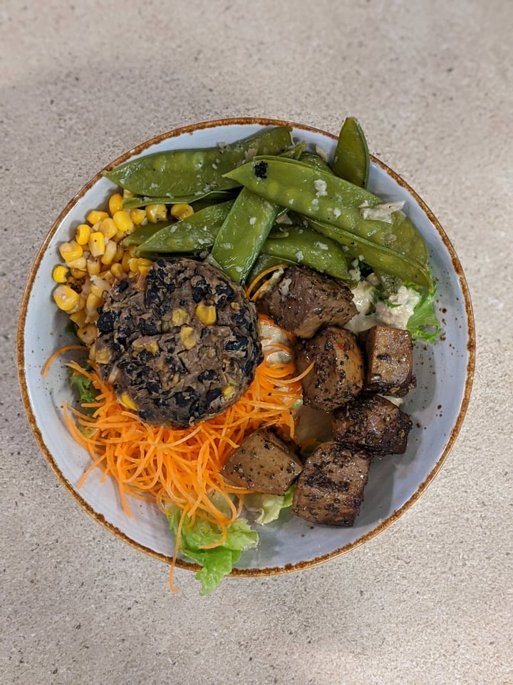 photo of Haakon Superfoods and Juice Vegan Protein Salad Bowl shared by @xinru-t on  30 Aug 2020 - review