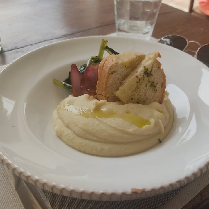 review photo of Trattoria Terra Madre Purè di cicoria e mousse con fragole e cioccolato shared by @rossellafranzoi on 08 Jan 2022 - review