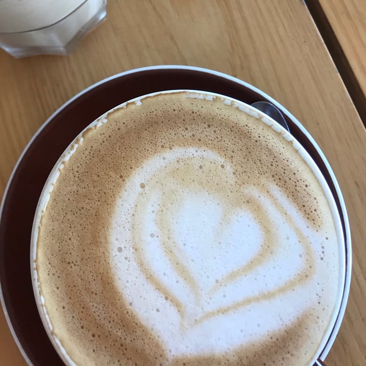 photo of Knead Bakery Oat milk Cappucino shared by @hannahaltmann on  28 Feb 2021 - review