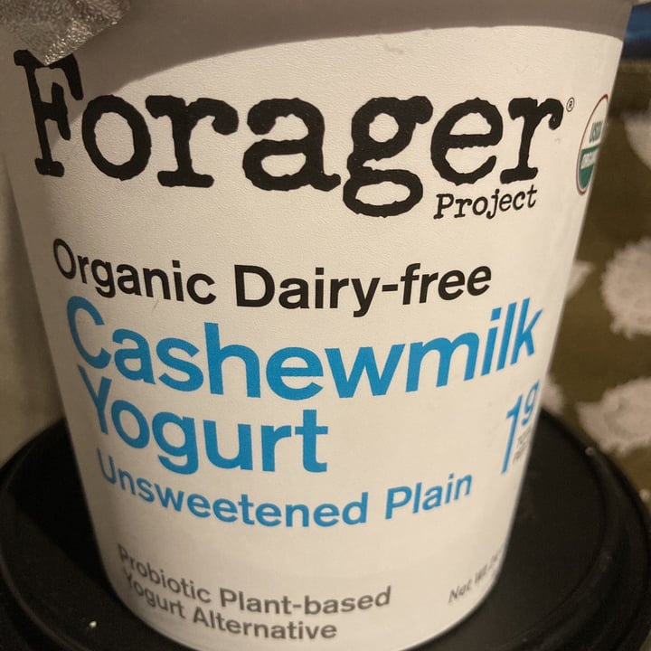 photo of Forager Project Organic Dairy-free Cashewmilk Yogurt Plain shared by @tricia74 on  19 Aug 2021 - review