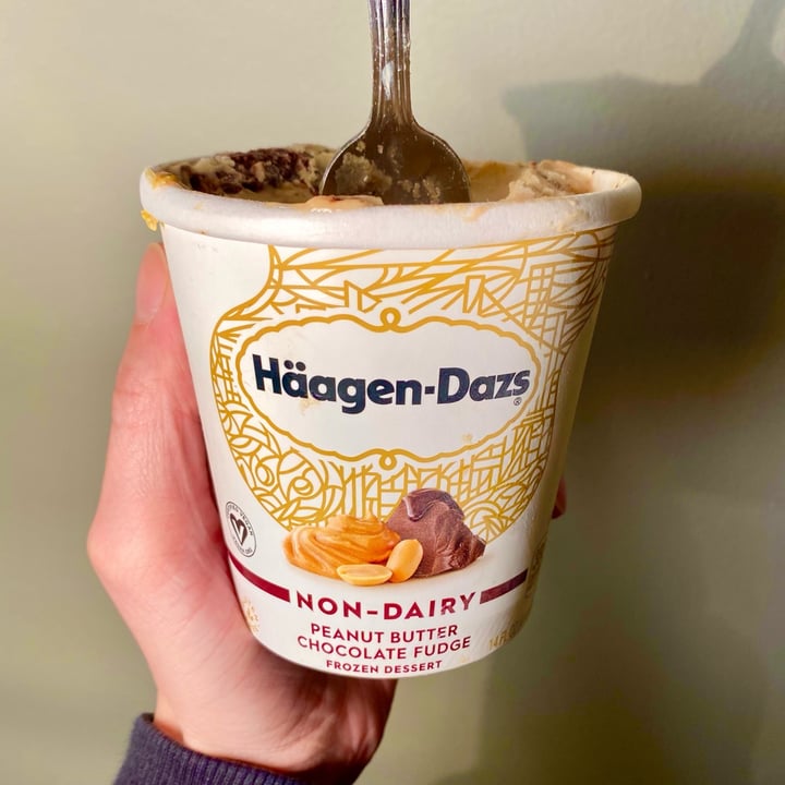 photo of Häagen-Dazs Peanut Butter Chocolate Fudge Non-Dairy shared by @timvegmalone on  14 Dec 2021 - review