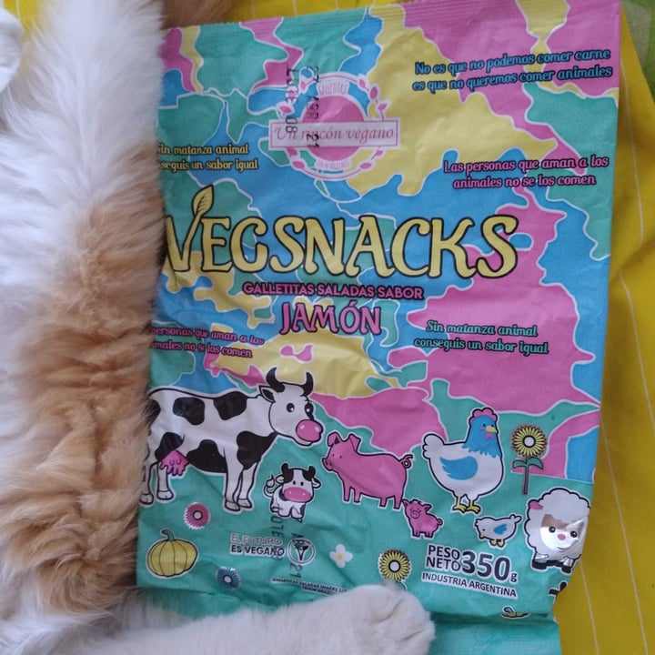 review photo of Un Rincón Vegano Vegsnacks Galletas Saladas sabor Jamon shared by @fabianvegano on 24 Feb 2021 - review