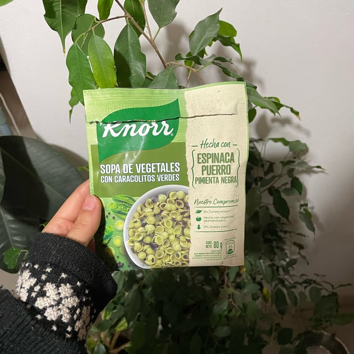 photo of Knorr Sopa de vegetales con Caracolitos verdes shared by @valenequiza on  12 Jun 2022 - review