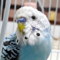 mariveggy @mariveggy profile image