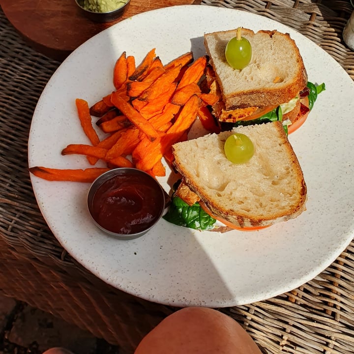 photo of The Conscious Kitchen Club Sandwich shared by @semacleod on  28 Dec 2021 - review