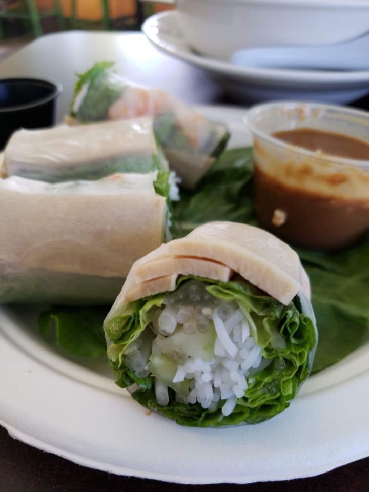 photo of TNK Vegan Cafe Spring Rolls shared by @aarlover20 on  27 Nov 2019 - review