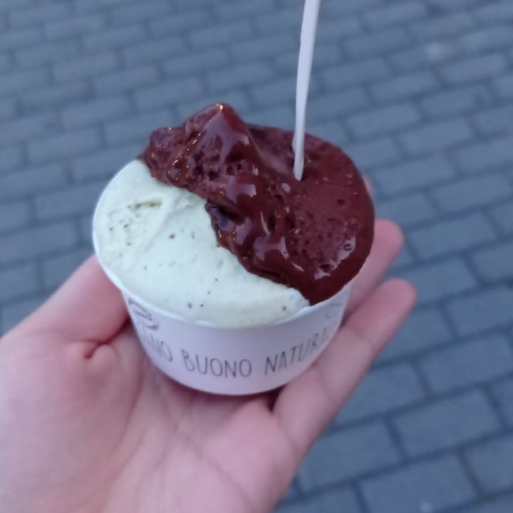 photo of Officina Del Gusto gelato Artigianale shared by @beatricedearca on  02 Jun 2022 - review