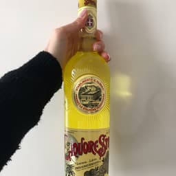 Strega Alberti