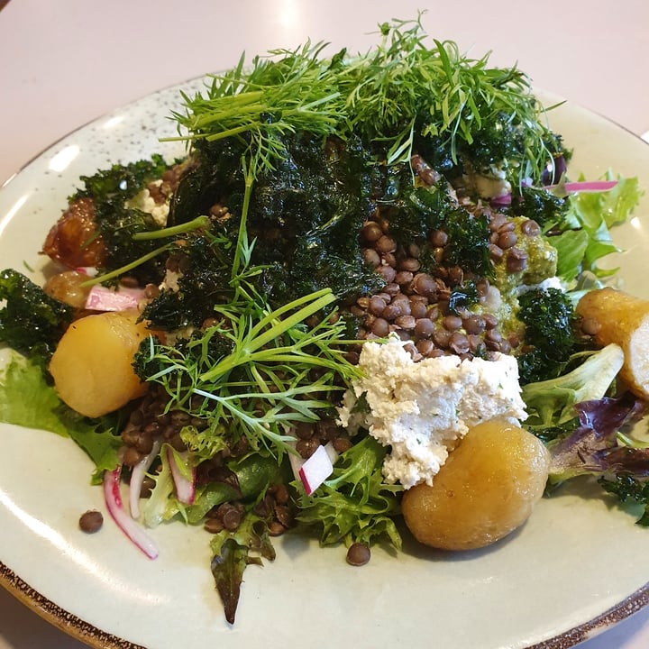 review photo of Roots Kitchen Salad with Roasted New Potatoes, Tofu Ricotta, Beluga Lentils, Lacinato Kale Chips & Spinach Pesto shared by @nikoran on 30 Jul 2020 - review