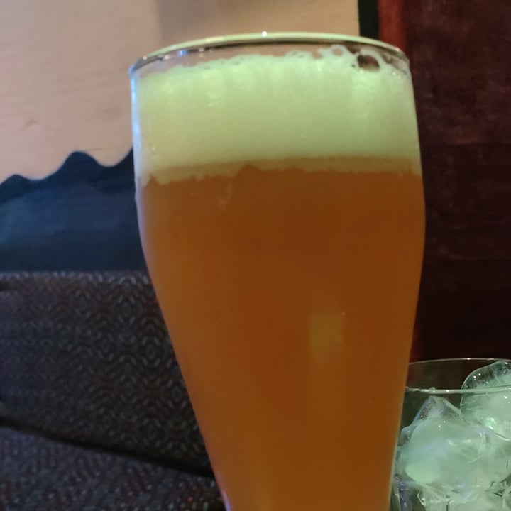 review photo of Die Bio Weisse Hefeweissbier shared by @hipunkop on 20 Feb 2022 - review