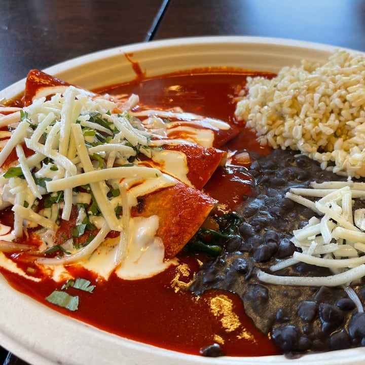 photo of El Cantaro Spinach & Onion Enchilada shared by @veganpetite on  21 May 2022 - review