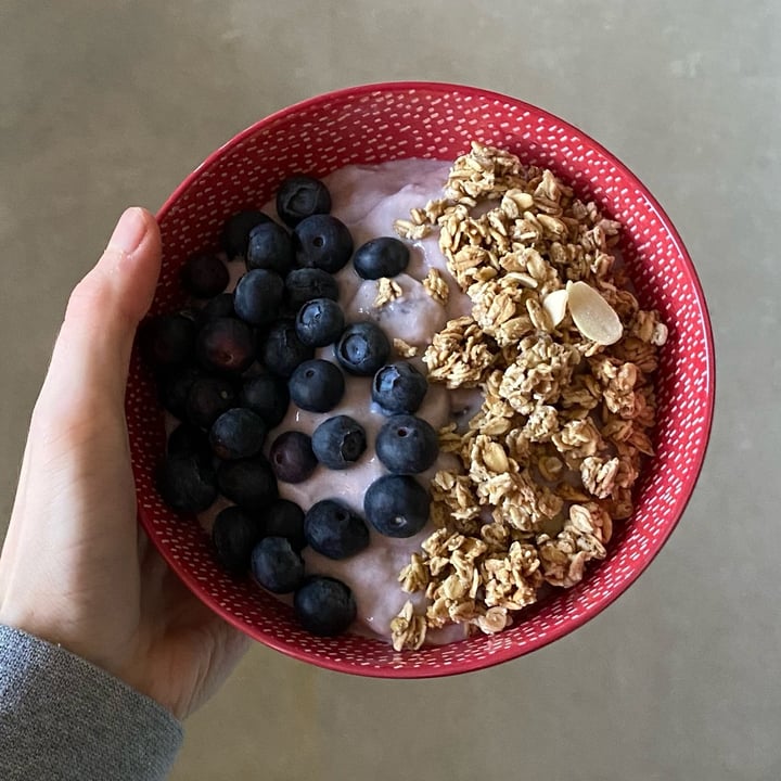 photo of Acti Leaf Blueberry Soya Pot shared by @rosiesargeant on  24 Jan 2022 - review