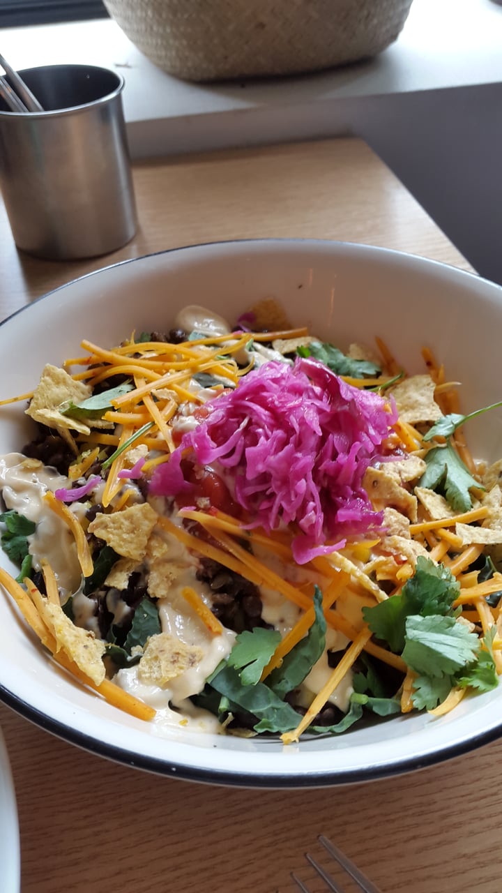 photo of Plant Café & Kitchen lentil veggie bowl shared by @theveganhopper on  30 May 2020 - review