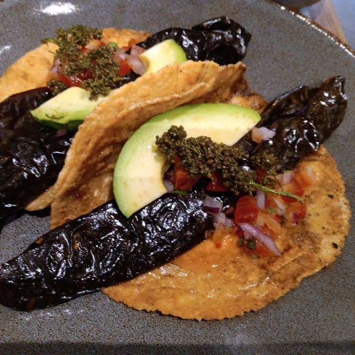 photo of Ojo de Maíz tacos de chiles rellenos shared by @mireyavegana on  19 Sep 2022 - review