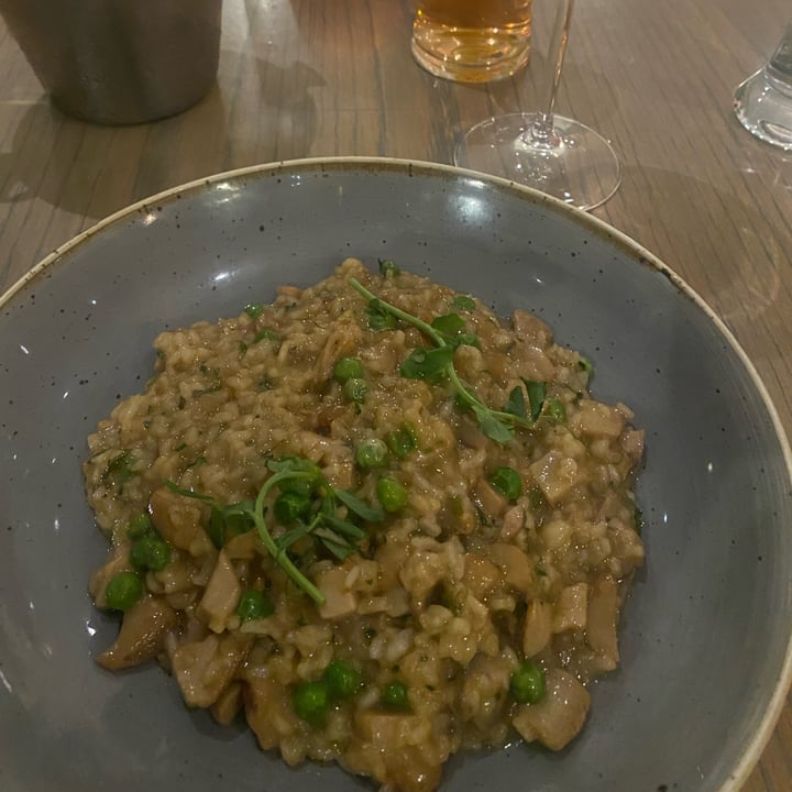 photo of Café Del Sol Botanico Porcini And Pea Risotto shared by @jackyvw on  29 Sep 2022 - review