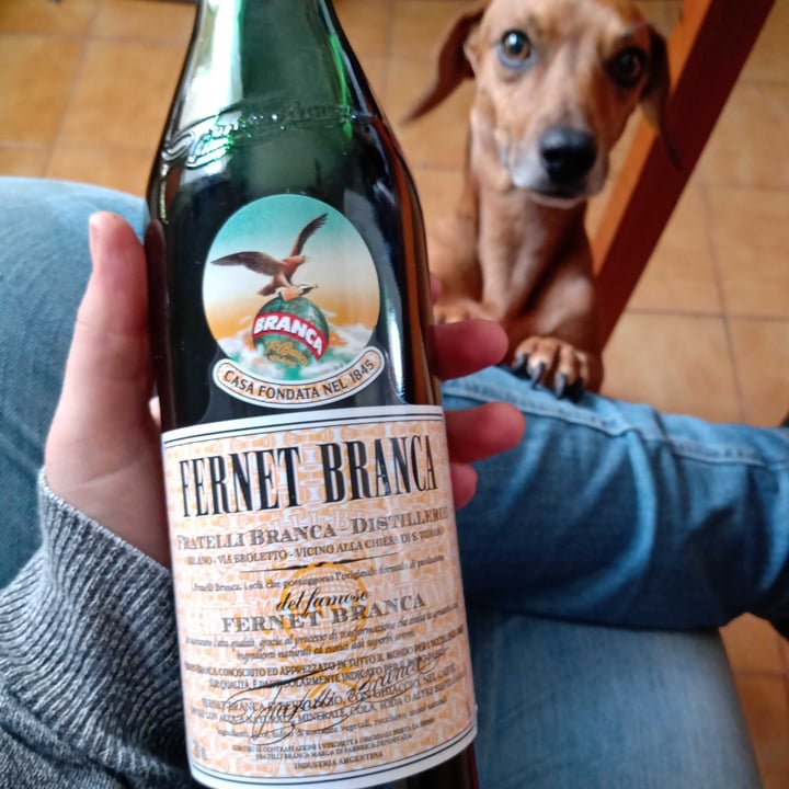 photo of Fernet Branca Fernet de menta (Nueva receta contiene miel) shared by @cel3s on  14 Aug 2020 - review