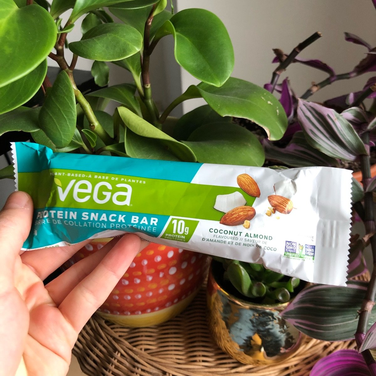 PlantBased Vega VEGA® PROTEIN SNACK BAR Coconut Almond Reviews abillion