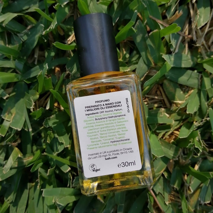 LUSH Fresh Handmade Cosmetics Vanillary Perfume Review | abillion
