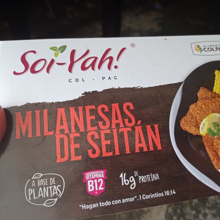 photo of Alimentos Colpac Proteínas Vegetales Estilo Milanesa shared by @bettyska on  28 Oct 2021 - review
