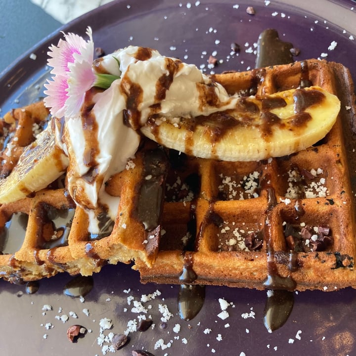 photo of Lexi's Healthy Eatery Choc Chip Protein Waffles shared by @ctveganreviews on  17 Feb 2021 - review