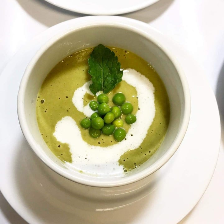 photo of Green & Vegan Pop Up Dining Chilled Pea and Mint Veloute shared by @knightp on  27 Jul 2019 - review