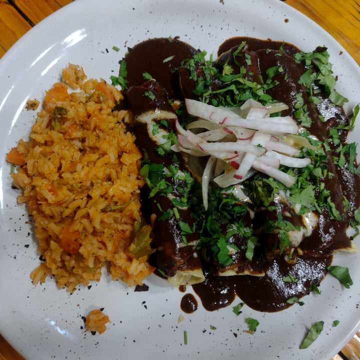 review photo of Koala Express Enmoladas de berenjena shared by @marianaherrr on 18 Jul 2022 - review