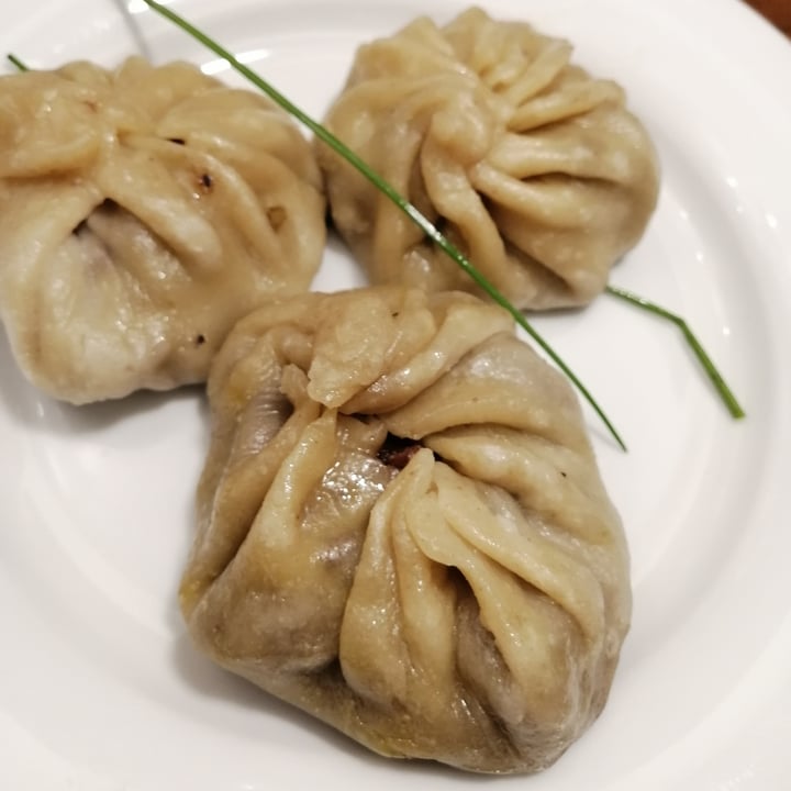 photo of Plantasia Momos shared by @melissamx on  21 Aug 2021 - review