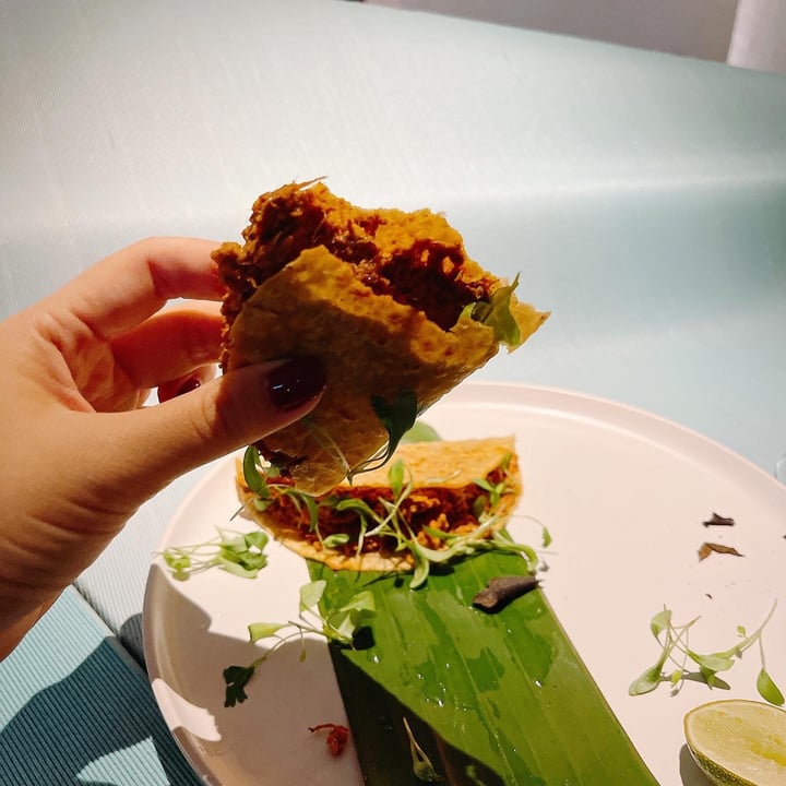 photo of Analogue Jackfruit Tacos shared by @veggiexplorer on  15 Oct 2021 - review