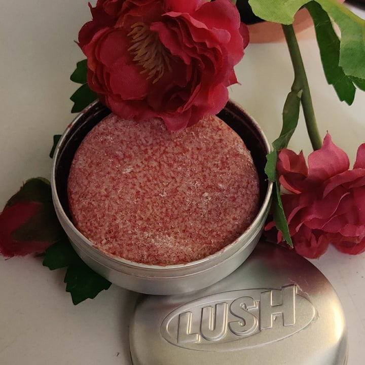 photo of LUSH Fresh Handmade Cosmetics Jason and the argan oil shared by @serenasofia on  04 Mar 2022 - review