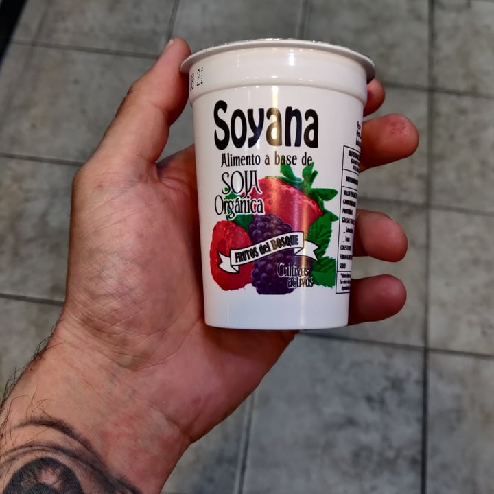 photo of Soyana Yogurt a Base de Soja sabor Frutos del Bosque shared by @leormax on  20 Aug 2021 - review