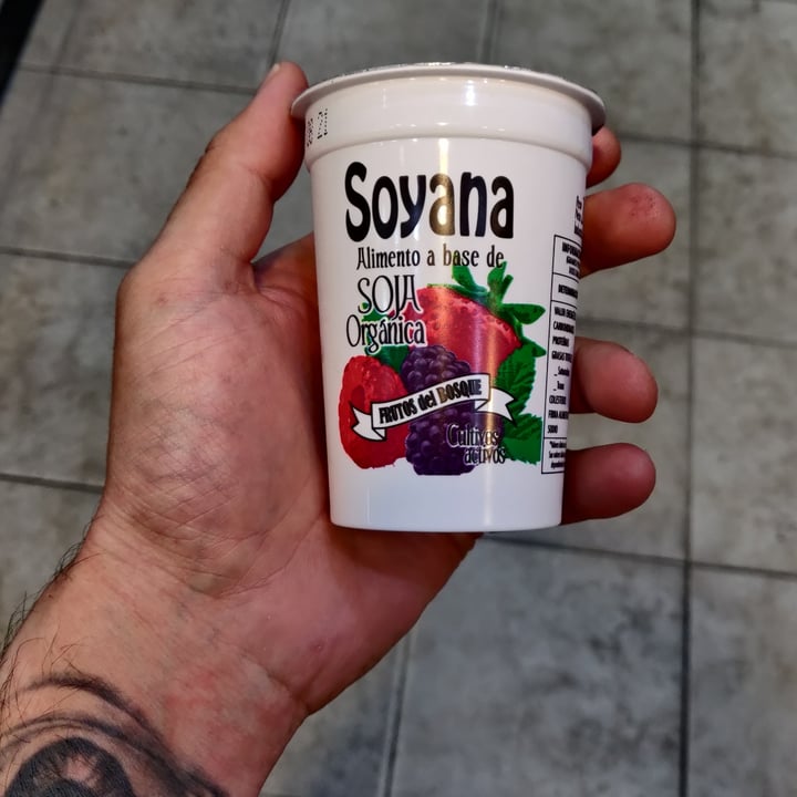 review photo of Soyana Yogurt a Base de Soja sabor Frutos del Bosque shared by @leormax on 20 Aug 2021 - review